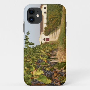 Case-Mate iPhone Case Vignobles, petites vignes de verdot et
