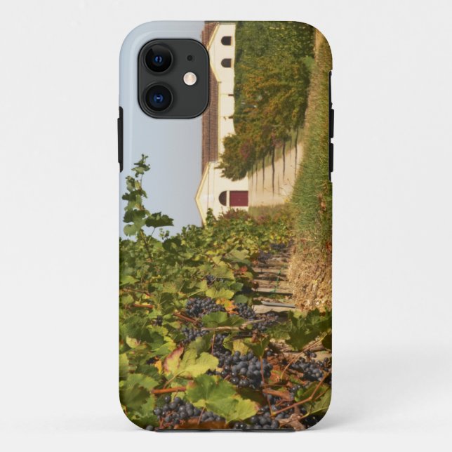 Coques Case-Mate iPhone Vignobles, petites vignes de verdot et (Dos)