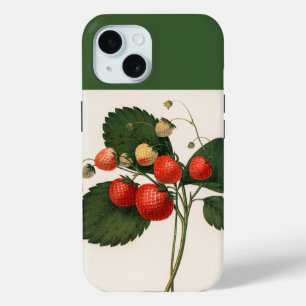 Coque Pour iPhone 15 Vintage Boston Pine fraise Coque-Mate iPhone C