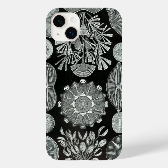 Coques Case-Mate iPhone Vintage Haeckel (Verso)