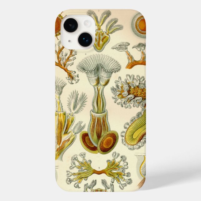 Coques Case-Mate iPhone Vintage Haeckel (Verso)