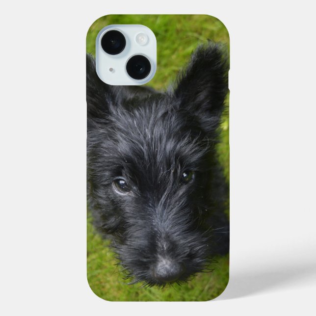 Coques Case-Mate iPhone Visage de chiot Scottie mignon (Verso)