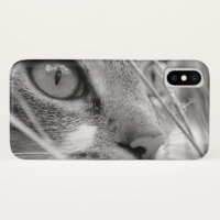Visage d'un chat
