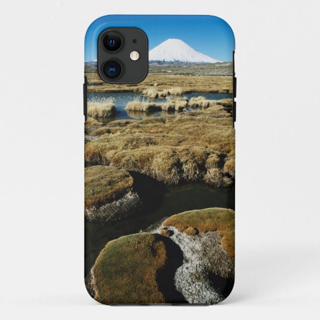 Coques Case-Mate iPhone Volcan de Payachalas (Dos)