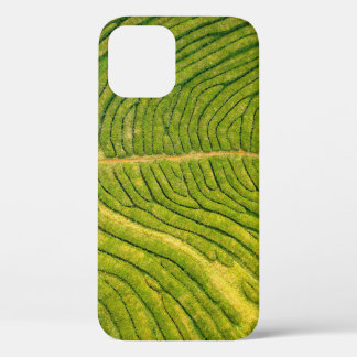 Case-Mate iPhone Case Vue aérienne du champ vert ouvert