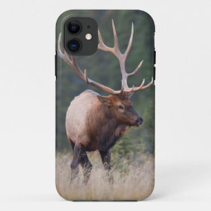 Coques Pour iPhone Wapiti des montagnes Rocheuses
