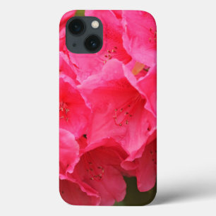 Coques Pour iPhone Washington, Seattle, Puget Sound, Discovery Park