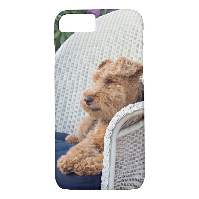Coques Case-Mate iPhone Welsh Terrier (Dos)