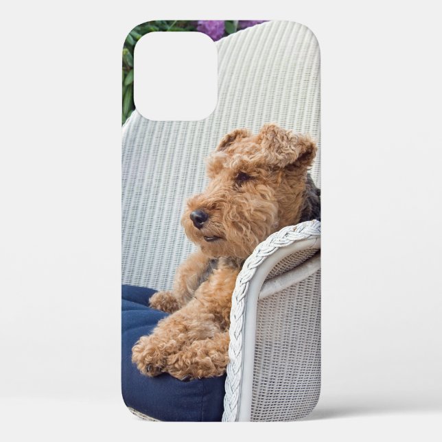 Coques Case-Mate iPhone Welsh Terrier en fauteuil Wicker (Verso)