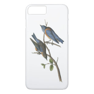 Coque Case-Mate Pour iPhone Western Bluebird par Audubon