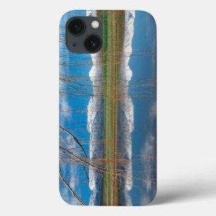 Etui iPhone 13 Winter Reflections. Ceres, Boland District