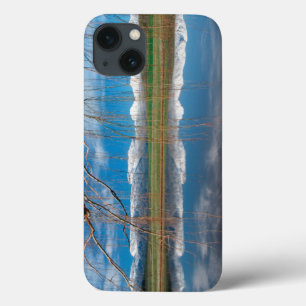 Coques Pour iPhone Winter Reflections. Ceres, Boland District
