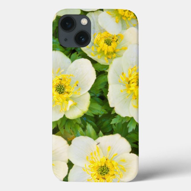 Coques Case-Mate iPhone Wyoming, Comté de Sublette, Gros plan d'un groupe (Verso)