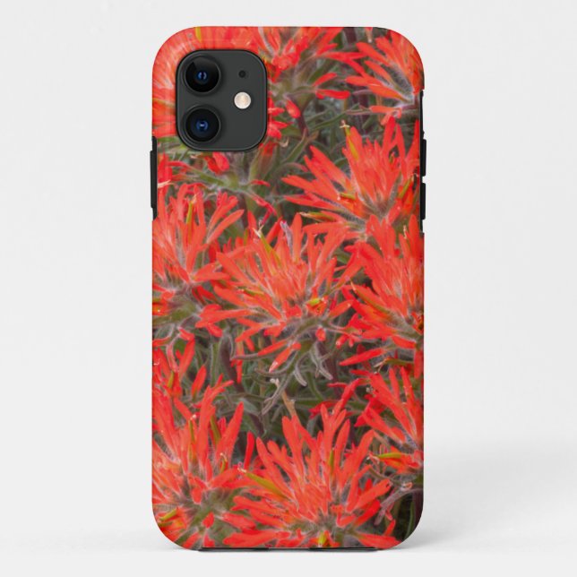 Coques Case-Mate iPhone Wyoming, Lincoln County, Desert Paintbrush (Dos)