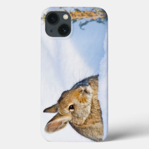 Coques Pour iPhone Wyoming, Sublette County, Nuttall's Cottontail