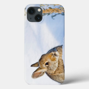 iPhone 13 Case Wyoming, Sublette County, Nuttall's Cottontail