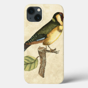 iPhone 13 Case Yellow and Green Bird Perched on a Little Branch
