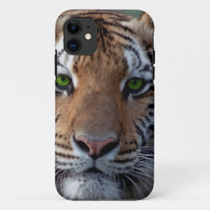 Coque iPhone 11 Yeux verts de tigre de Bengel