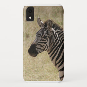 Coques Pour iPhone zèbre