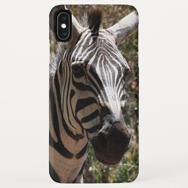 Coques Case-Mate iPhone zèbre sourit (Dos)