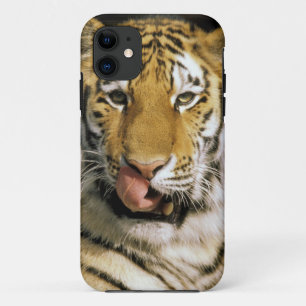 Case-Mate iPhone Case Zoo de Tiger Michigan