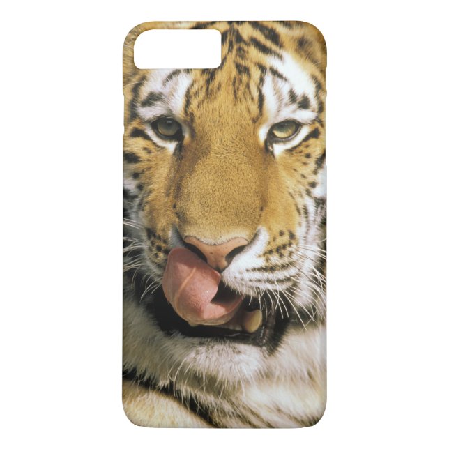 Coques Case-Mate iPhone Zoo de Tiger Michigan (Dos)