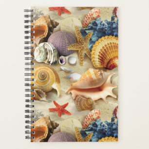 Coques de mer sur la plage