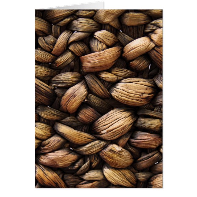 Coques de noix Brown (Devant)