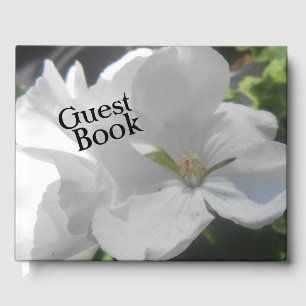 Coquet Gästebuch