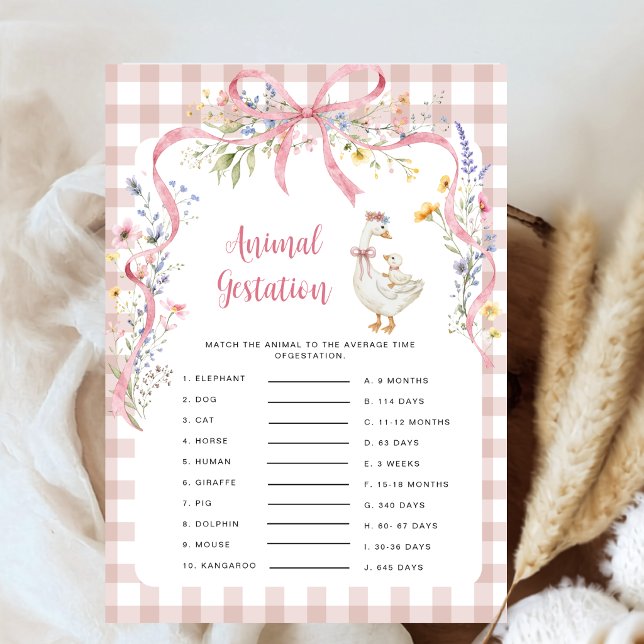 Coquette Pink Gingham Alberne Gans Tier-Tragzeit (Von Creator hochgeladen)