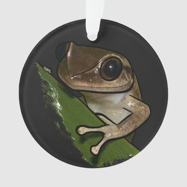 Coqui Porto Rico (devant)