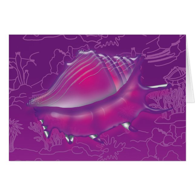 Coquillage (Devant horizontal)