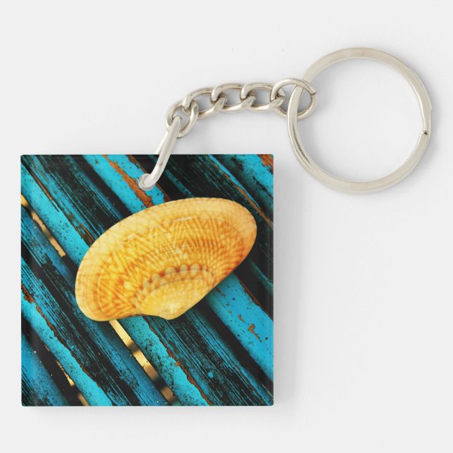 coquillage (Dos)