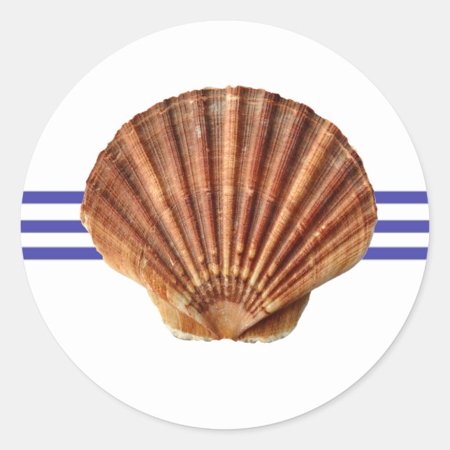 Coquillage nautique - Sticker circulaire (Devant)