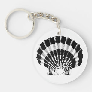 Coquillage noir et blanc