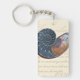 Coquillage romantique