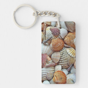 Coquillages