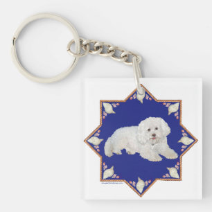Coquillages Bichon Frise