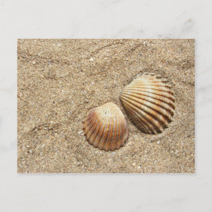 Coquillages Dans Carte postale Sable