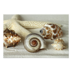 Coquillages et copie de photo de plage d'étoiles