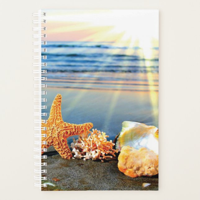 Coquillages marins et étoiles de mer sur la plage (Devant)