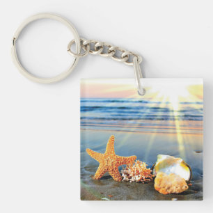 Coquillages marins et étoiles de mer sur la plage