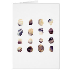 Coquillages patinés