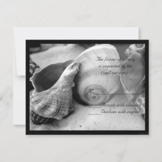 coquillages sable blanc bw rsvp