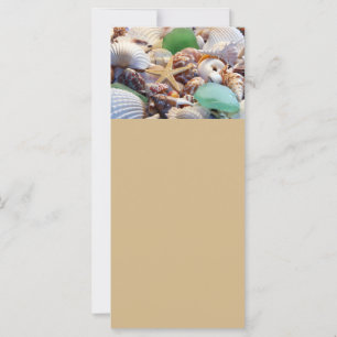 Coquillages, Starfish & Cartes en verre de mer