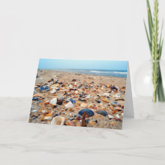 Coquillages sur la carte de voeux de plage