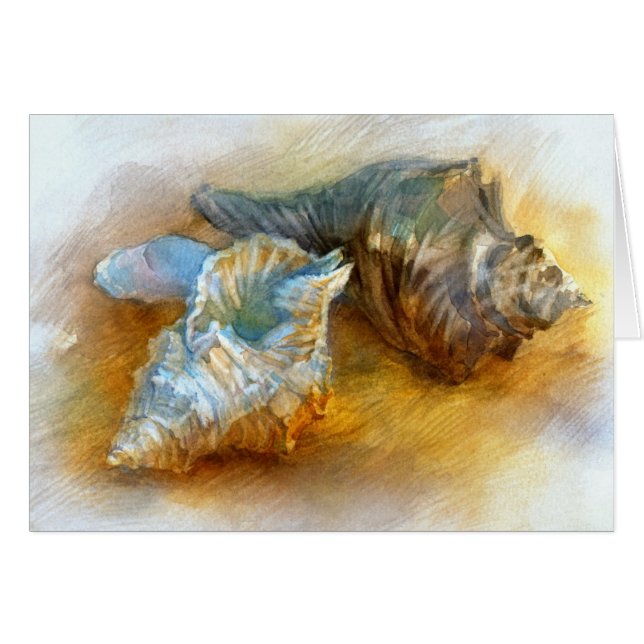 Coquillages sur la plage (Devant horizontal)