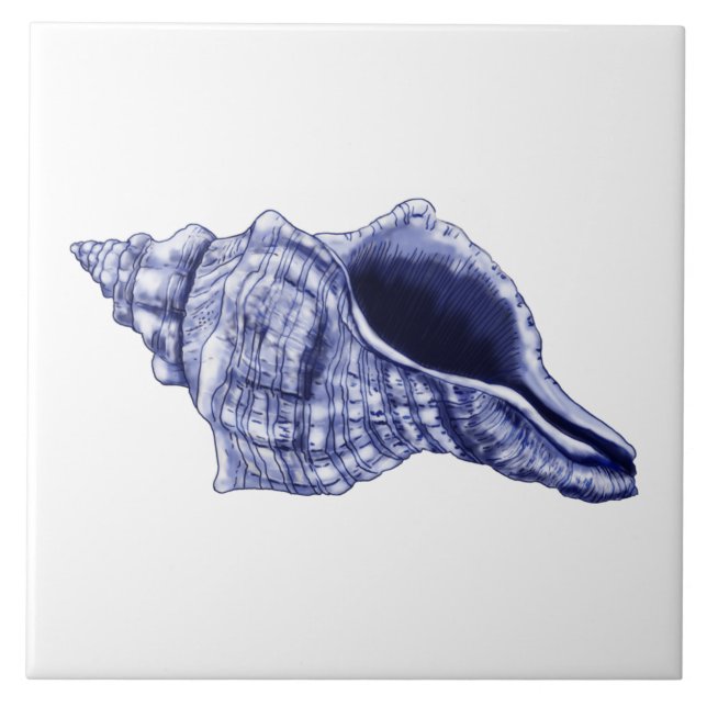 Coquille de conque bleu et blanc carreaux de céram (Devant)