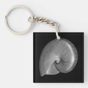 Coquille de nautile noir et blanc