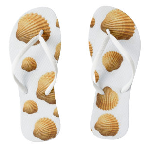 Coquille des tongs